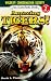 Amazing Tigers!