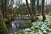 Wallmonkeys Peel and Stick Wall Decals - Ancient Snowdrop Forest - Removable Graphic