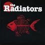 The Radiators