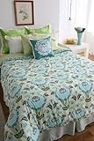 AMY BUTLER Aqua Blue COVENTRY Green Floral 6PC FULL or QUEEN COMFORTER SET- ....