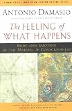 The Feeling of What Happens