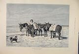 Donkey Donkeys Beach Seaside Marshall Fine Art 1885