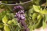 Fresh Herbs and Mezzaluna. - 24
