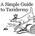 How to Taxidermy Animals; A Guide to Learn Taxidermy
