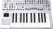 Musical Instruments : Novation X-Station 25, 25 Key, 2 Octave Synthesizer,  and Audio USB MIDI Controller Keyboard, X-STATION 25