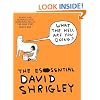 What the Hell are You Doing?: The Essential David Shrigley