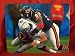 Adewale Ogunleye Autographed Chicago Bears 8x10 Photo, Proof Photo of Adewale Signing for Us.