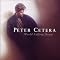 Have A Fundamental Chicago & Peter Cetera Collection