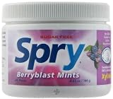 (Xclear), Spry, Berryblast Mints, Sugar Free, 240 Pieces