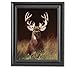 Trophy Buck Deer in Field Large Antler Rack Photo Wall Picture Framed Art Print