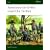 American Civil War Guerrilla Tactics (Elite)
