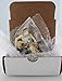 ELVIS® in Gold Suit with Guitar Kurt Adler 4.5-inch Resin Christmas Ornament in Protective White Gift Box