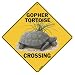 Gopher Tortoise Crossing 12" X 12" Aluminum Sign
