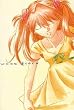 Misatogelion Neon Genesis Evangelion Fanbook
