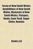 Fauna of New South Wales: Amphibians of New South Wales, Mammals of New South Wales, Platypus, Koala, Cane Toad, Sugar Glider, Numbat-