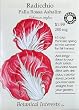 Radicchio Certified Organic Seeds 120 Seeds