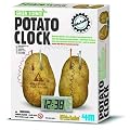 Great Gizmos Kidz Labs - Green Science Potato Clock
