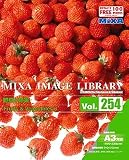 MIXA IMAGE LIBRARY Vol.254 野菜と果実
