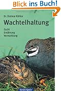 Wachtelhaltung