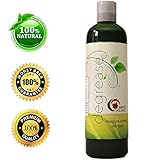 Shampoo for Oily, Itchy & Greasy Hair with Organic Rosemary, Peach Kernel and Jojoba - 100% Natural Treatment for Women, Men & Teens - Stimulates Cell Renewal and Increases Scalp/hair Circulation - Gentle & Safe for Color Treated Hair - Fully Guaranteed By Maple Holistics