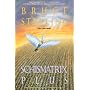 Schismatrix Plus by Bruce Sterling