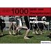 1000 Spiel- und Übungsformen zum Aufwärmen
