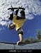 Reach For The Sky - Skateboarder, Motivational Poster
