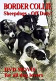Border Collie Sheepdogs - Off Duty [2005]