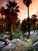 Agua Caliente Indian Reserve Palm Canyon, Upper Canyon, Palm Springs, California Art Photographic Poster Print by John Elk III, 12x16