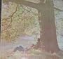John Lennon Plastic Ono Band
