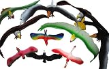 10 Piece Plastic Cool Colorful Assorted BirdsIMAGE