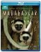 Madagascar: Land Where Evolution Ran Wild [Blu-ray]
