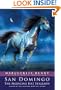 San Domingo : The Medicine Hat Stallion