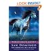 San Domingo : The Medicine Hat Stallion