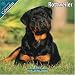 Rottweiler 2010 Wall Calendar #10064-10
