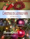 Christmas on Ladybug Farm: A Novella