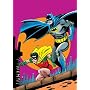 Showcase Presents: Robin the Boy Wonder, Vol. 1