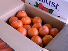 ★春になるとやってくる！CA産「ミネオラオレンジ」４キロ箱！