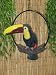 Chestnut Mandible Toucan W/open mouth on a 14