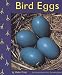 Bird Eggs (Birds)