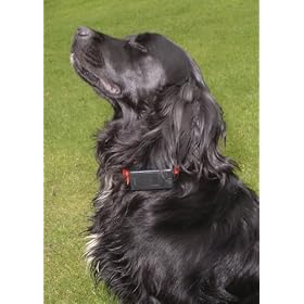 Ultrasonic Bark Control Dog Collar - Product ID: 553
