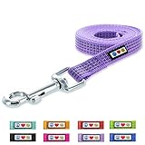 Pawtitas 6-ft Reflective Dog Leash Extra Small/Small Purple Orchid 5/8 Inch