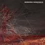 Glorify Astrological Martyrdom [Vinyl]