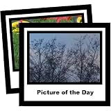 picofday