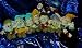 Snow White's 7 Dwarves with Mint Tags - Disney Mini Bean Bag Plush