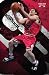 Bulls - Hinrich HIGH QUALITY CANVAS Print With Light Added BRUSHSTROKES Unknown 22x34