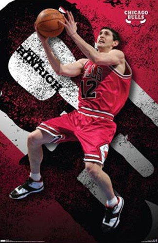 Bulls - Hinrich Art Poster PRINT Unknown 22x34
