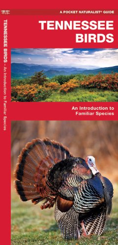 Tennessee Birds: An Introduction to Familiar Species (State Nature Guides)
