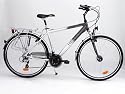28'' Aluminium Trekkingfahrrad Herren HX24 FL 435B