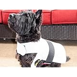 New Item DogGi Jiu Jitsu Judo Karate Martial Arts Dog Gi Kimono (MEDIUM, WHITE)